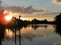 Riverfront in Bonita Springs.  (Clicking on the image will take you to the photo collection page)